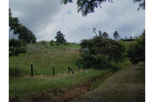 Lotes, Venta, Calima (Darién) - $760.430.000