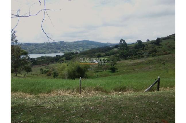 Lotes, Venta, Calima (Darién) - $760.430.000