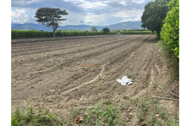 Lotes, Venta, Palmira - $480.000.000