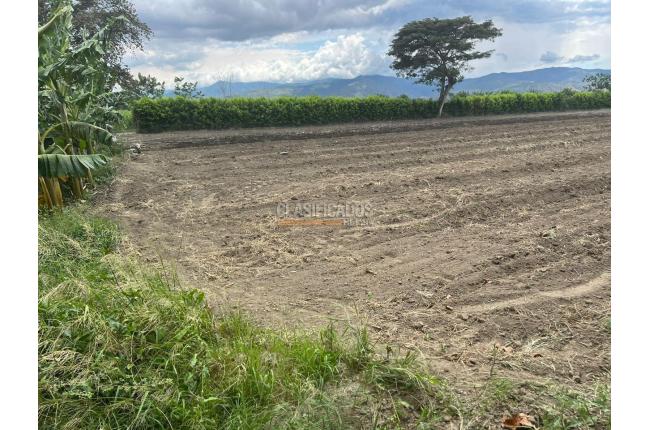 Lotes, Venta, Palmira - $480.000.000