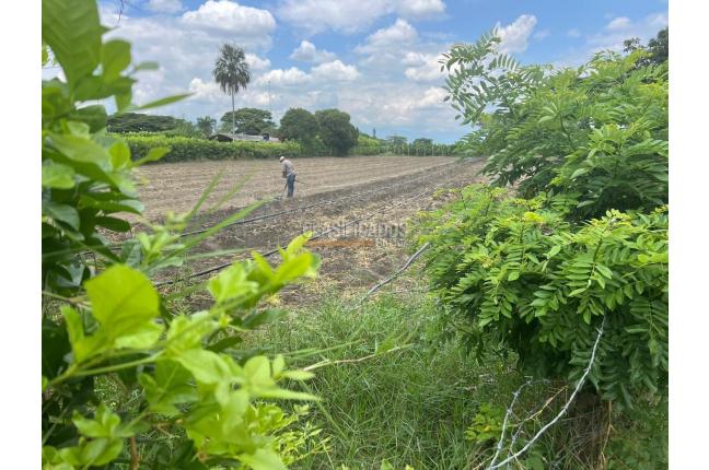 Lotes, Venta, Palmira - $480.000.000