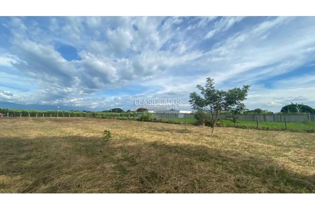 Lotes, Venta en Palmira