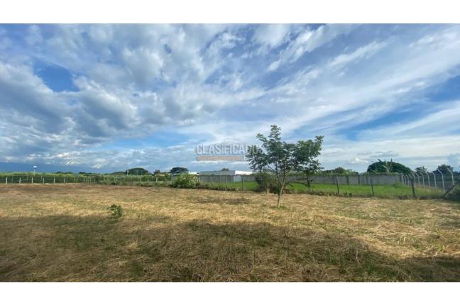 Lotes, Venta, Palmira - $330.000.000