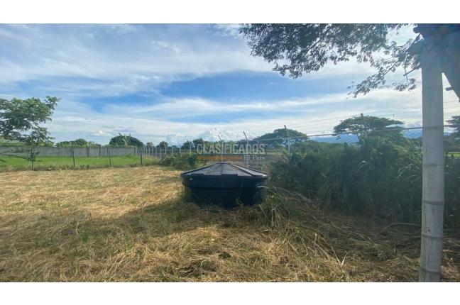 Lotes, Venta, Palmira - $330.000.000