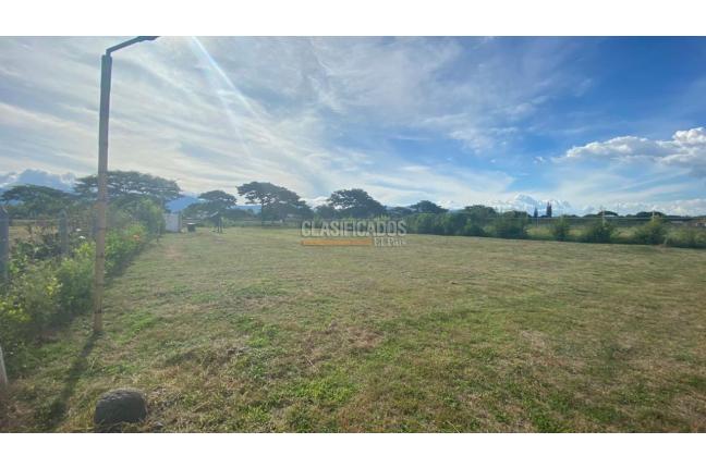 Lotes, Venta, Palmira - $330.000.000