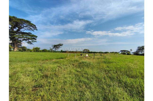 Lotes, Venta, Candelaria - $720.000.000