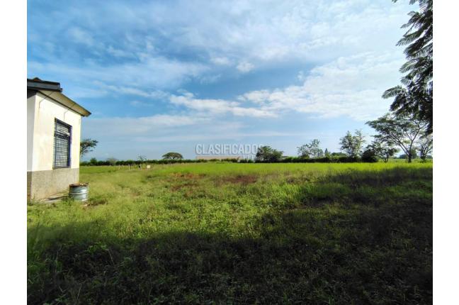 Lotes, Venta, Candelaria - $720.000.000