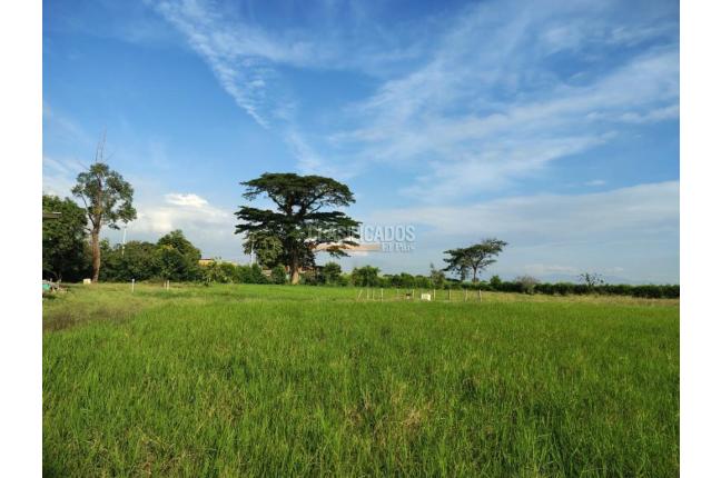 Lotes, Venta, Candelaria - $720.000.000