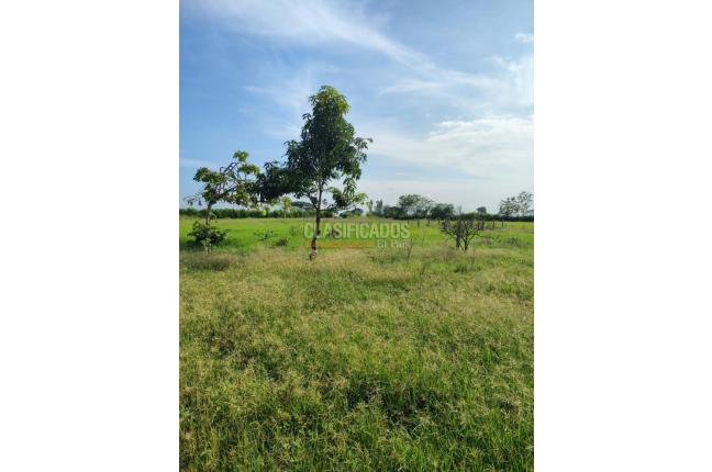 Lotes, Venta, Candelaria - $720.000.000