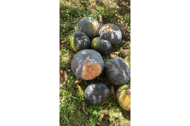 Fincas y Casas Campestres, Venta, Dagua - $450.000.000