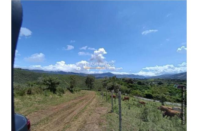 Lotes, Venta, Dagua - $60.000.000