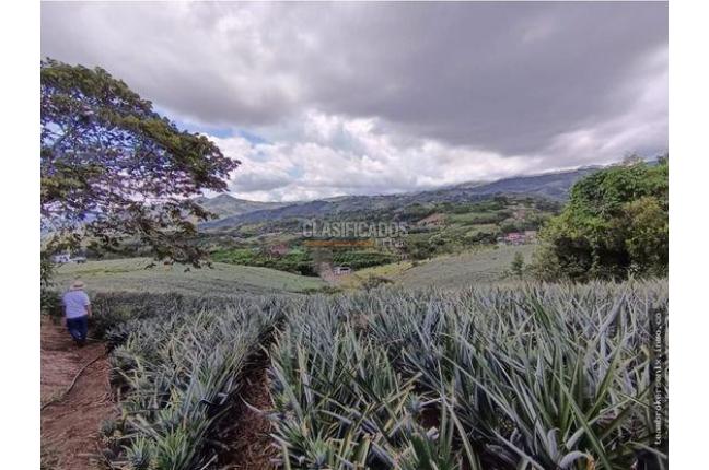 Lotes, Venta, Dagua - $60.000.000