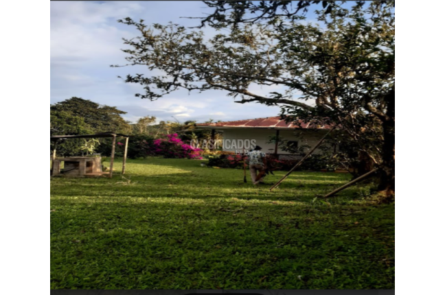 Fincas y Casas Campestres, Venta en Dagua