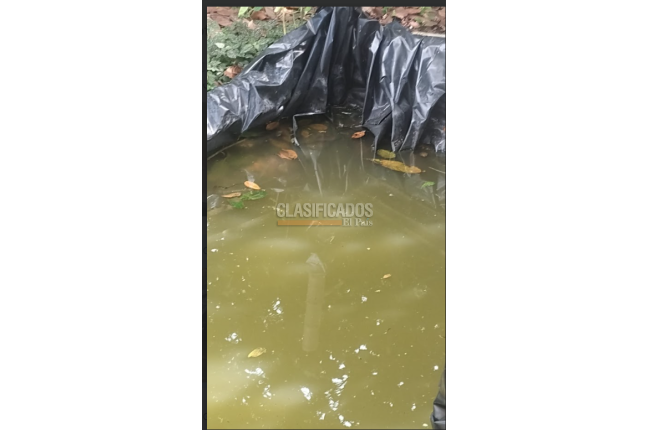 Fincas y Casas Campestres, Venta en Dagua