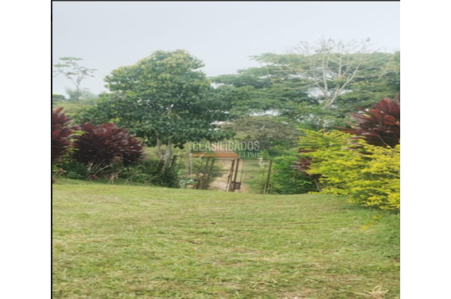 Fincas y Casas Campestres, Venta, Dagua - $400.000.000