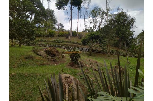 Fincas y Casas Campestres, Venta, La Elvira - $450.000.000