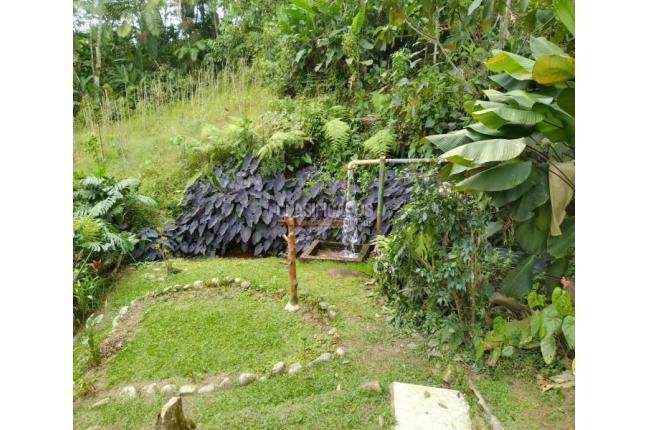 Fincas y Casas Campestres, Venta, La Elvira - $450.000.000