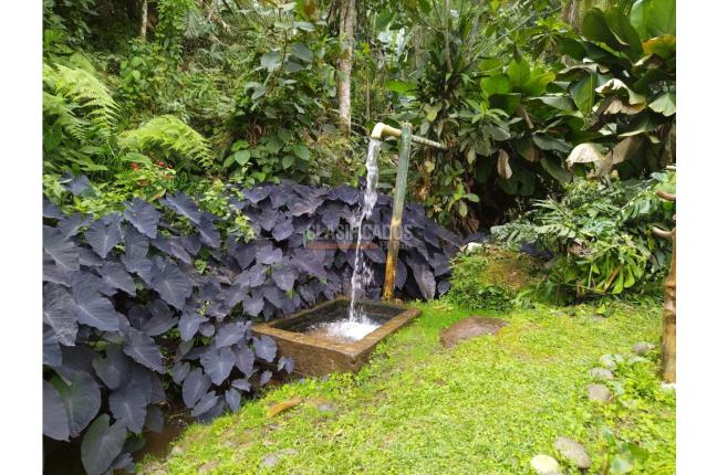 Fincas y Casas Campestres, Venta, La Elvira - $450.000.000