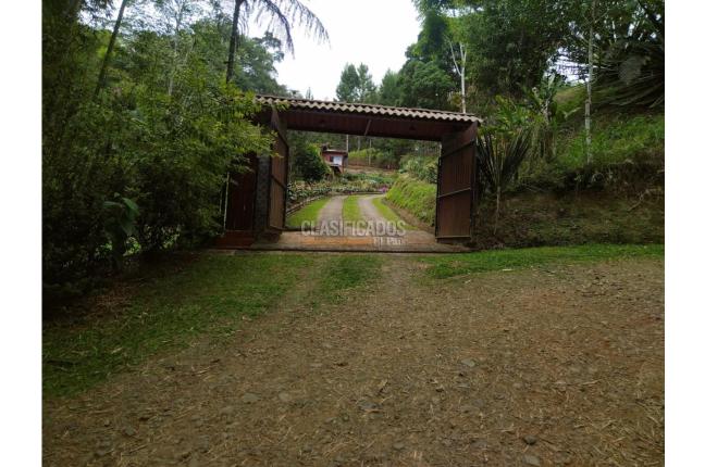 Fincas y Casas Campestres, Venta, La Elvira - $450.000.000