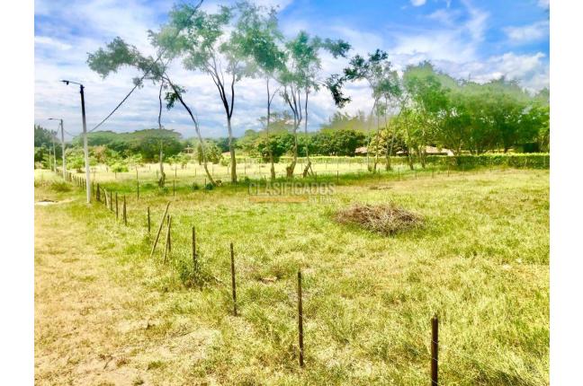 Lotes, Venta en Palmira