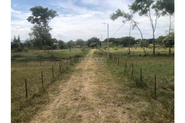 Lotes, Venta en Palmira