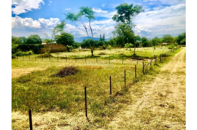 Lotes, Venta en Palmira