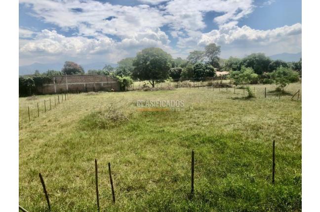 Lotes, Venta, Palmira - $352.500.000