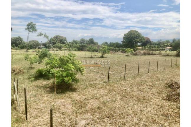 Lotes, Venta, Palmira - $352.500.000