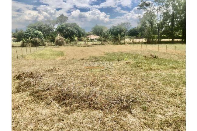 Lotes, Venta, Palmira - $352.500.000