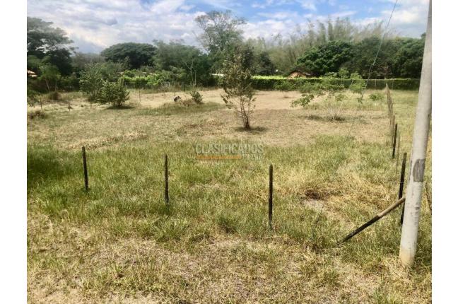 Lotes, Venta, Palmira - $352.500.000