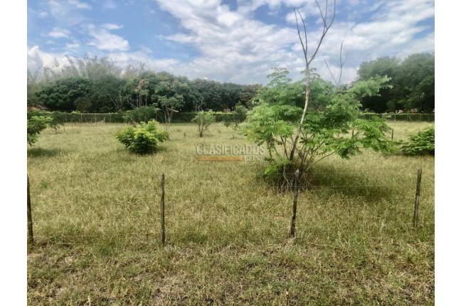 Lotes, Venta, Palmira - $352.500.000