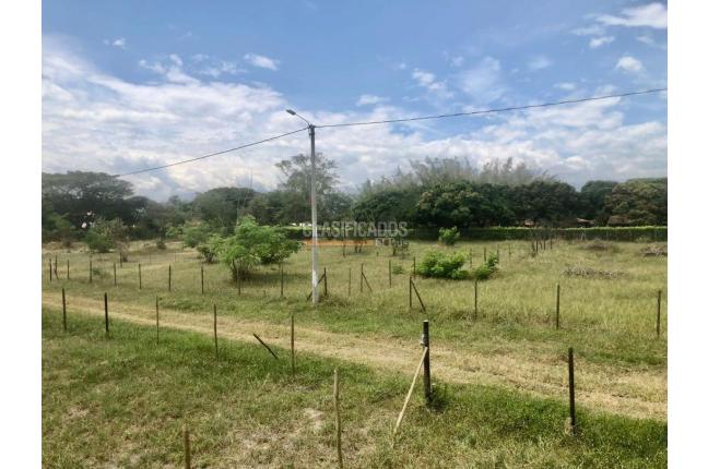 Lotes, Venta, Palmira - $352.500.000