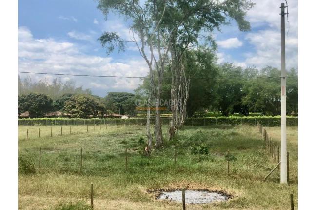 Lotes, Venta, Palmira - $352.500.000