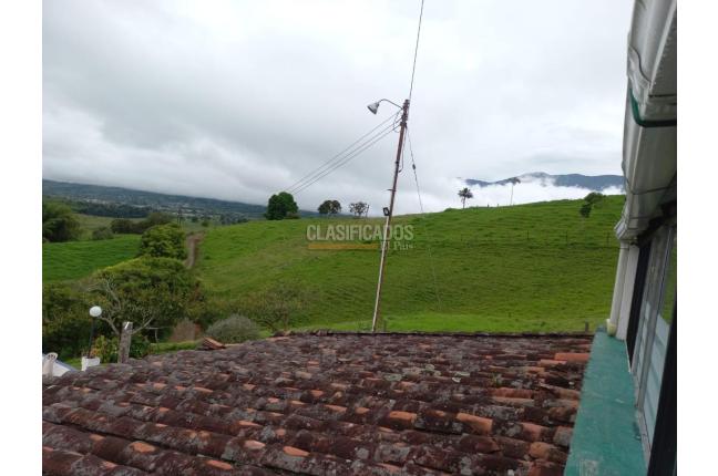 Lotes, Venta, Calima (Darién) - $350.000.000