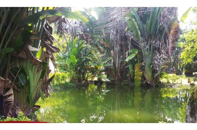 Fincas y Casas Campestres, Venta, Jamundí - $1.400.000.000