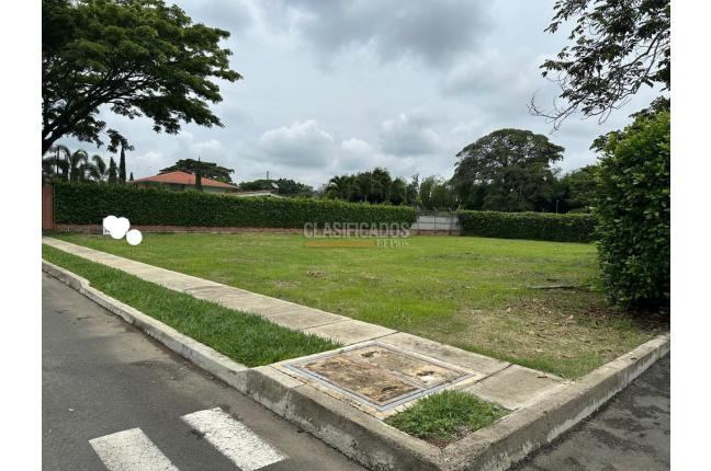 Lotes, Venta en Palmira