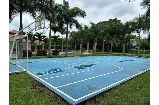 Lotes, Venta, Palmira - $350.000.000