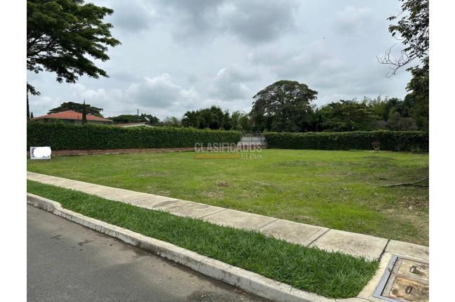 Lotes, Venta, Palmira - $350.000.000