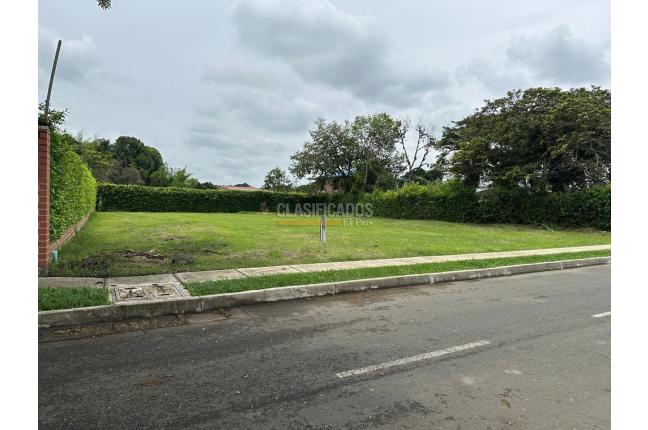 Lotes, Venta, Palmira - $350.000.000