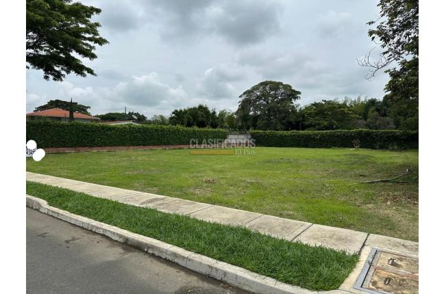 Lotes, Venta, Palmira - $350.000.000