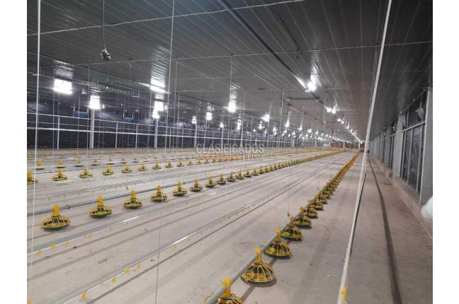 Casas, Venta, Jamundí - $40.000.000.000