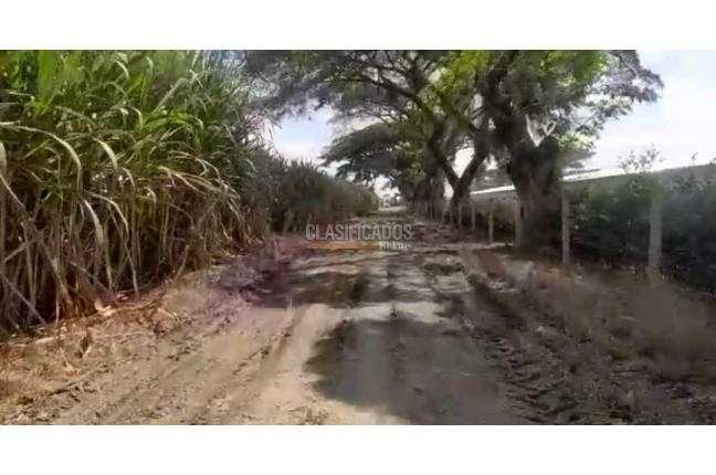 Casas, Venta, Jamundí - $40.000.000.000