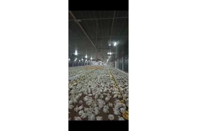 Casas, Venta, Jamundí - $40.000.000.000