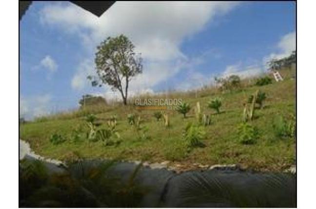 Fincas y Casas Campestres, Venta, Dapa - $2.500.000.000