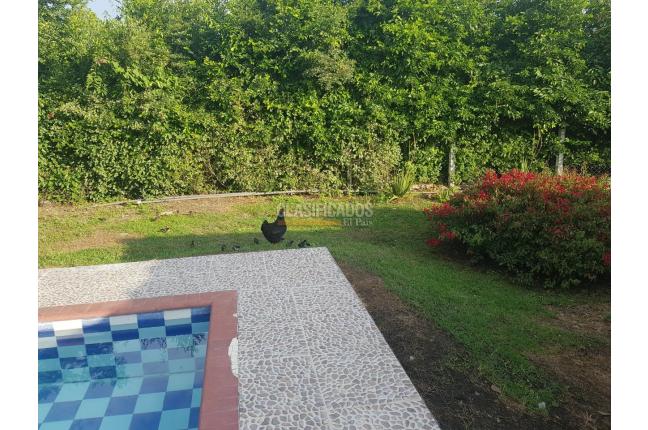 Fincas y Casas Campestres, Venta, San Pedro - $2.000.000.000