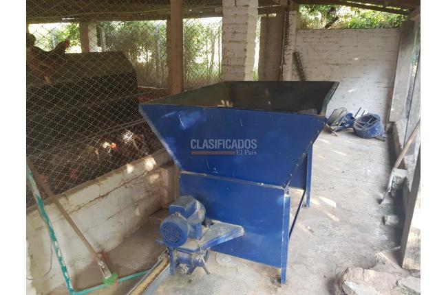 Fincas y Casas Campestres, Venta, San Pedro - $2.000.000.000