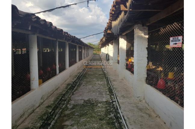 Fincas y Casas Campestres, Venta, San Pedro - $2.000.000.000