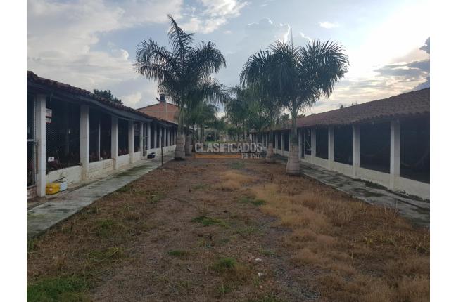 Fincas y Casas Campestres, Venta, San Pedro - $2.000.000.000