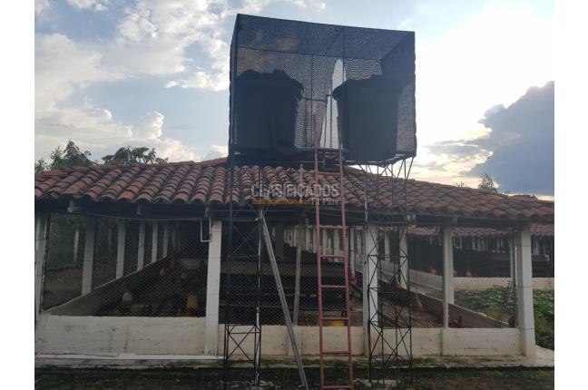 Fincas y Casas Campestres, Venta, San Pedro - $2.000.000.000