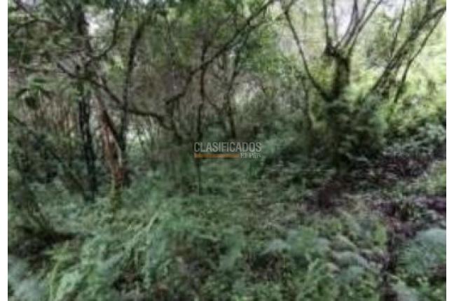 Fincas y Casas Campestres, Venta, Dagua - $1.781.307.173